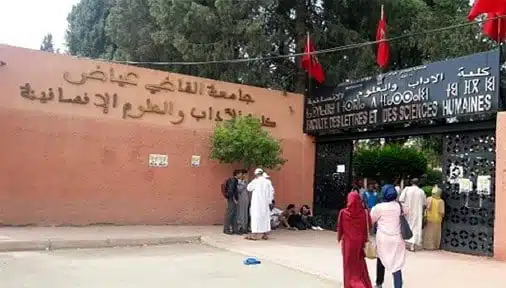 كلية بمراكش تطلق صفقة لبيع غلة أشجار الزيتون داخلها