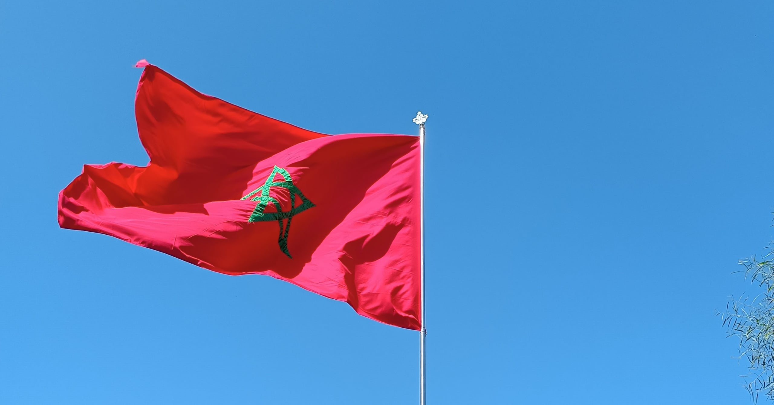 مركز: أرباح الاستثمارات الأجنبية المباشرة بالمغرب تظل غير مستغلة بالكامل