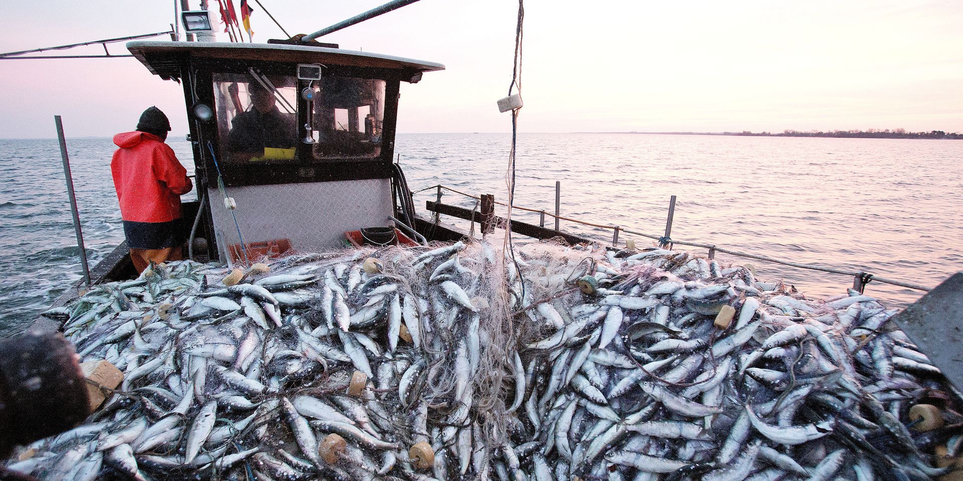مفرغات الصيد الساحلي والتقليدي تنخفض بـ25% بميناء الصويرة
