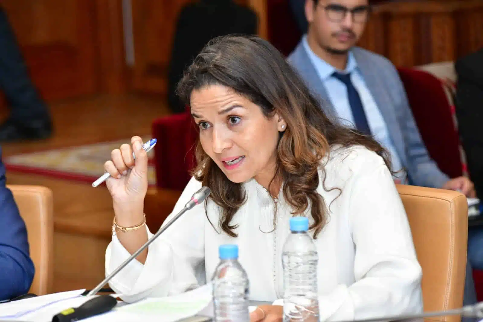 الحكومة تدرس سيناريوهات إعادة تشغيل لاسامير وبنعلي: نتعاطى مع الملف بعقلانية