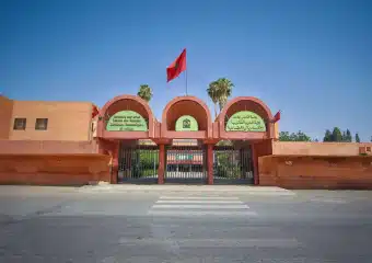 طالب بجامعة القاضي عياض يتصدر ترتيب مؤتمر الشباب حول المناخ بعمان