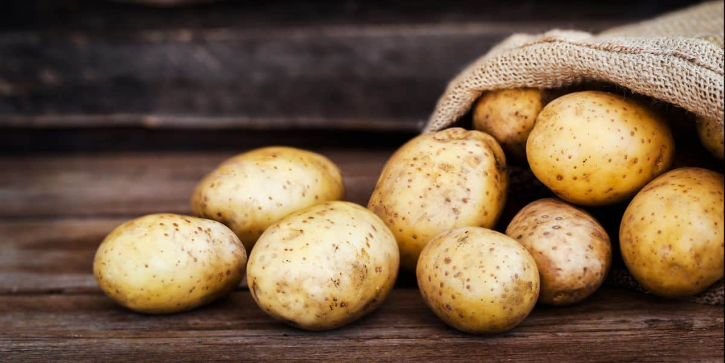 تزيد الوزن.. دراسة حديثة تدحض الفكرة السائدة عن البطاطس