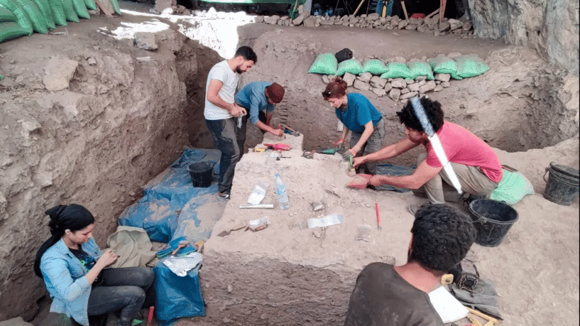 العثور على عظام “أسد الأطلس” المنقرض بالمغرب