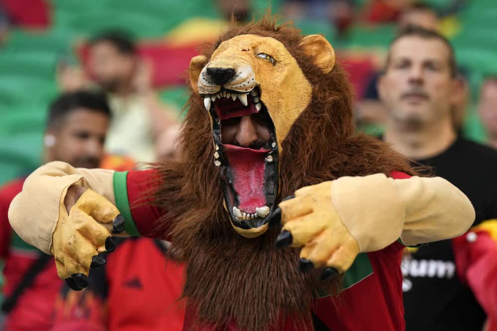 مونديال 2022.. صحيفة أمريكية: المغرب مصدر فخر وحامل لواء أزيد من مليار إفريقي