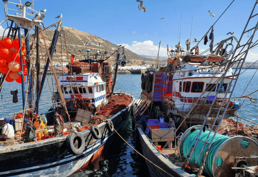 الحكومة ترفض ملتمسات برلمانية لدعم “الغازوال” المستعمل ببواخر الصيد