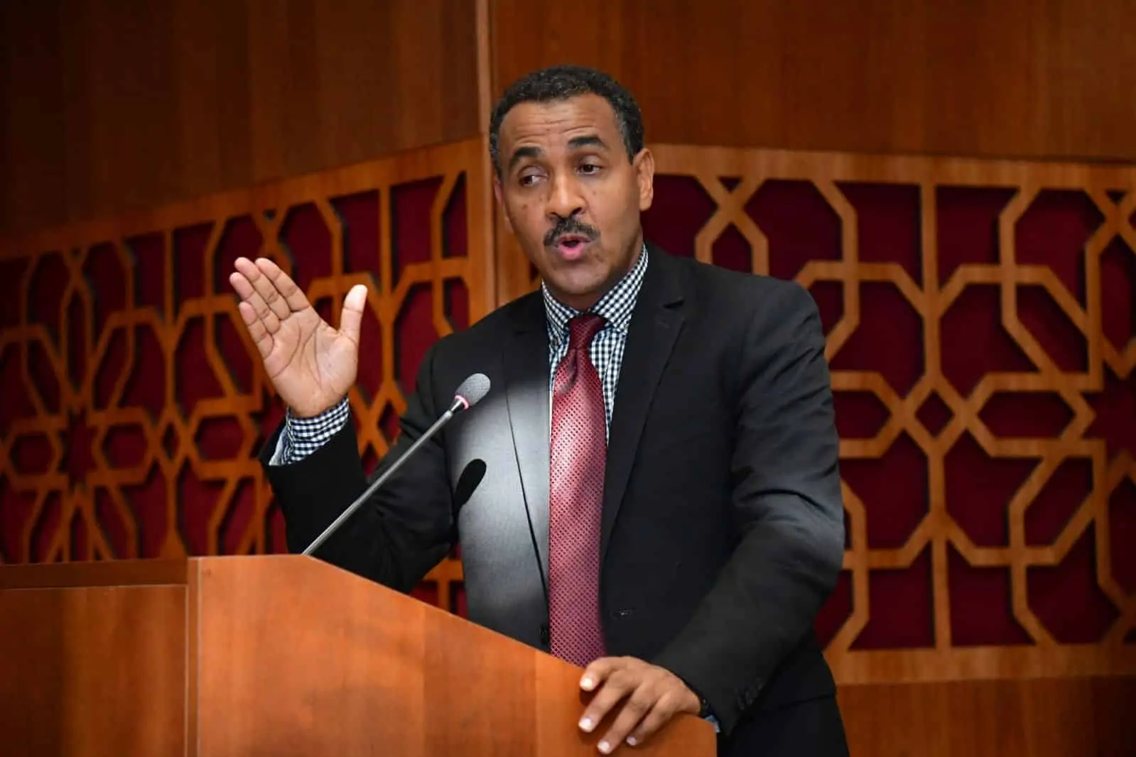 شهيد: التقسيم الانتخابي الحالي يكرّس التغوّل ويفرض تمثيلية غير عادلة
