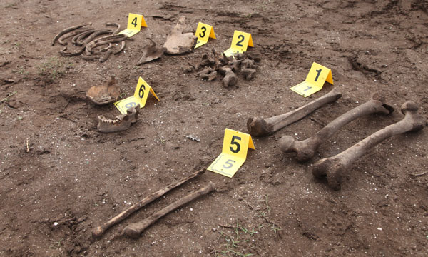 العثور على عظام بشرية مدفونة في منزل كان يقطنه “مُتطرّفون” بالعروي