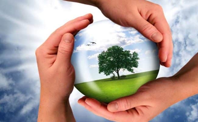 إطلاق الدورة الرابعة عشرة لجائزة الحسن الثاني للبيئة