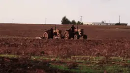 جمعية حقوقية تطالب بافتحاص البرامج الفلاحية وتقييم أثرها على الأمن الغذائي