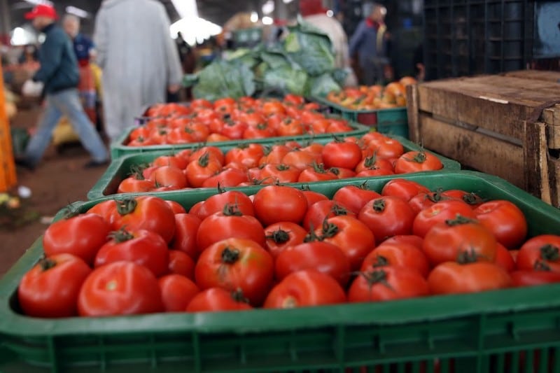تجاوز ثمنها 9 دراهم في بعض الأسواق.. هذه أسباب ارتفاع أسعار الطماطم
