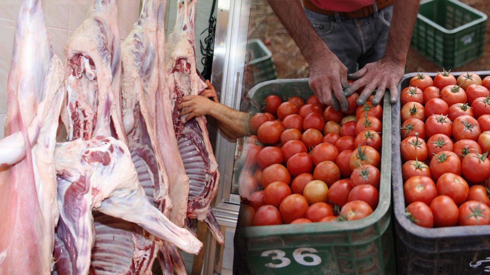 ارتفاع أثمان الطماطم واللحوم يثير المخاوف والخراطي يدعو لإنهاء احتكار البيضاء للسوق الوطنية