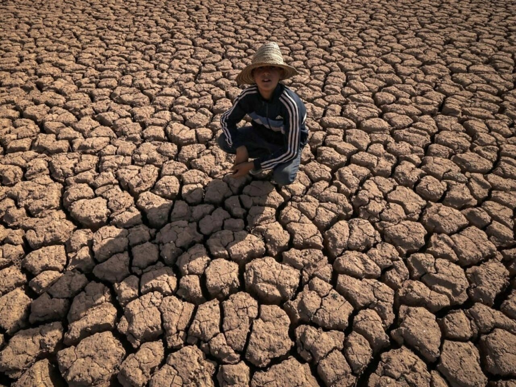 مع تزايد الجفاف عالميا.. خبراء يوصون بزراعات أقل احتياجا للماء