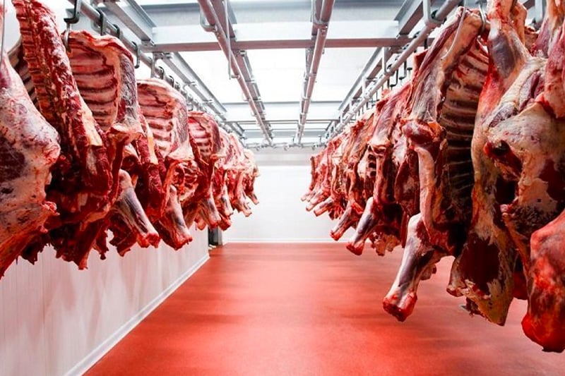 “الجفاف ونقص في الأبقار الأليفة”.. وزيرة المالية تكشف أسباب ارتفاع أسعار اللحوم بـ15 درهما