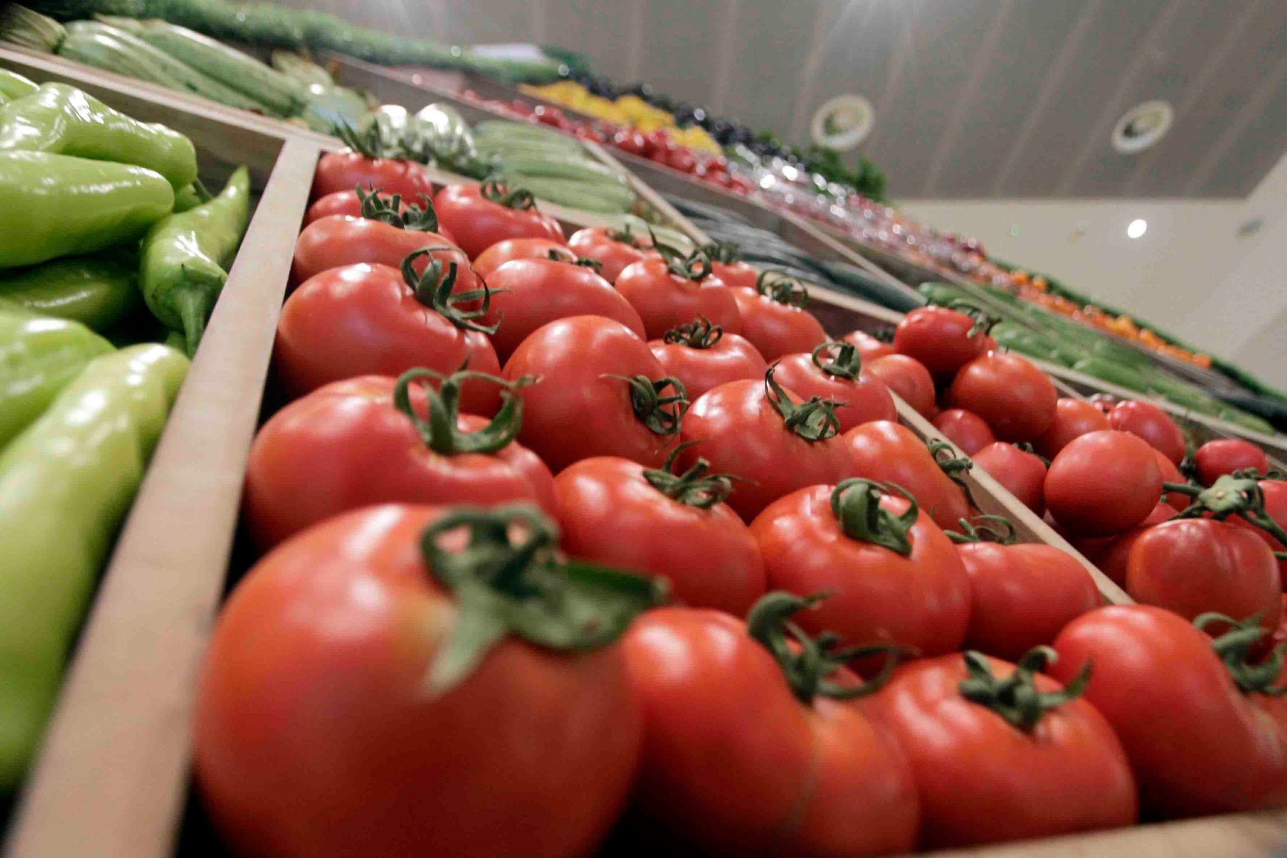 أسعار الطماطم تواصل الانخفاض لتصل إلى 3.5 دراهم بأسواق الجملة بإنزكان والبيضاء