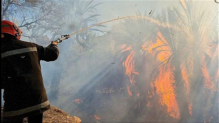 حريق بواحة أملكيس يستنفر سلطات الرشيدية