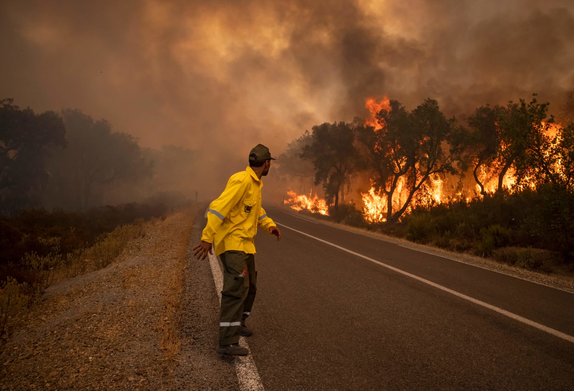 لتطويق الحرائق.. مبادرة تشريعية تطالب بحظر إنشاء وحدات صناعية بمحاذاة الغابات