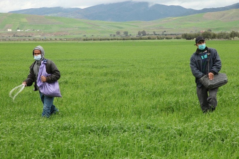2.1 مليون مغربي يعاني نقص التغذية.. تقرير أممي يسجل تراجع الأراضي الصالحة للزراعة بالمغرب