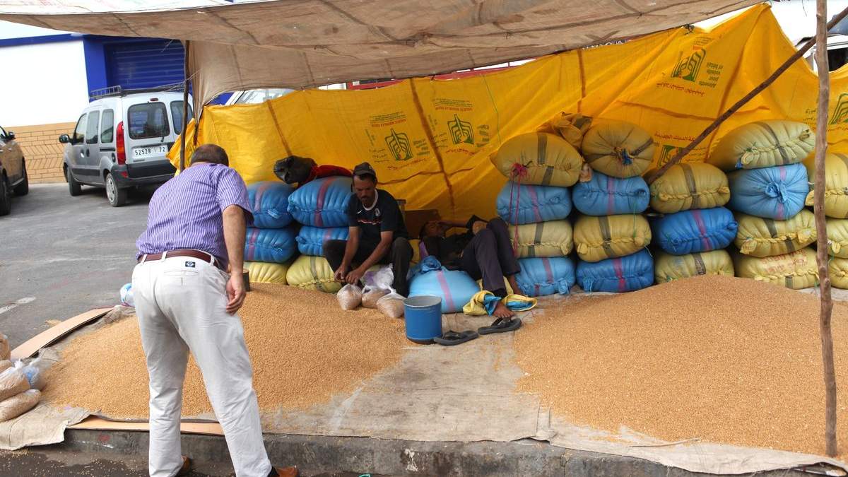 زكاة الفطر تنعش مبيعات القمح في فاس وإقبال كبير للشباب على المتاجرة فيها بالأحياء