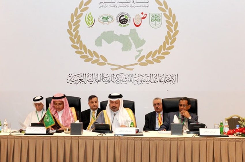 انطلاق أشغال الاجتماعات السنوية المشتركة للهيئات المالية العربية بالرباط