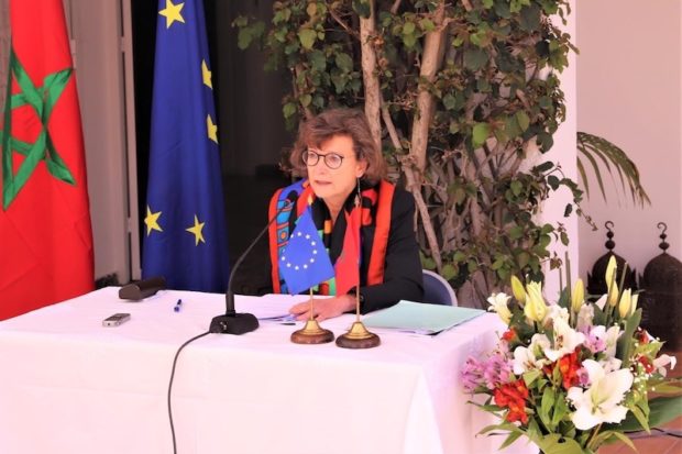 كوساك: الفلاحة تعتبر قطاعا جوهريا في الشراكة الأوروبية المغربية