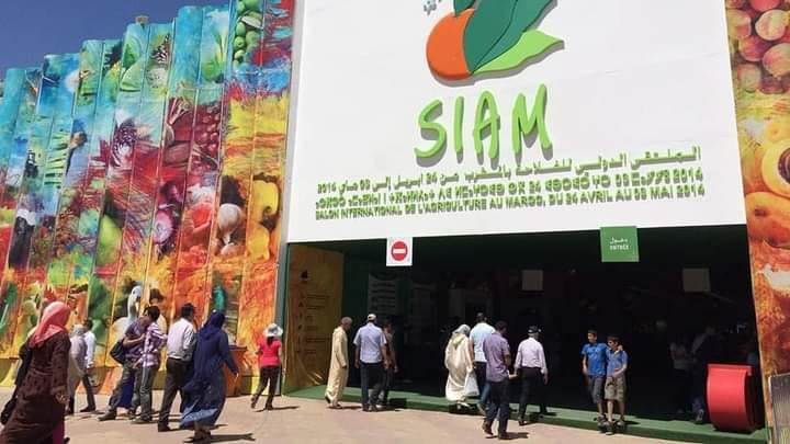 الشامي: الدورة الـ 15 لمعرض الفلاحة حطمت جميع الأرقام القياسية