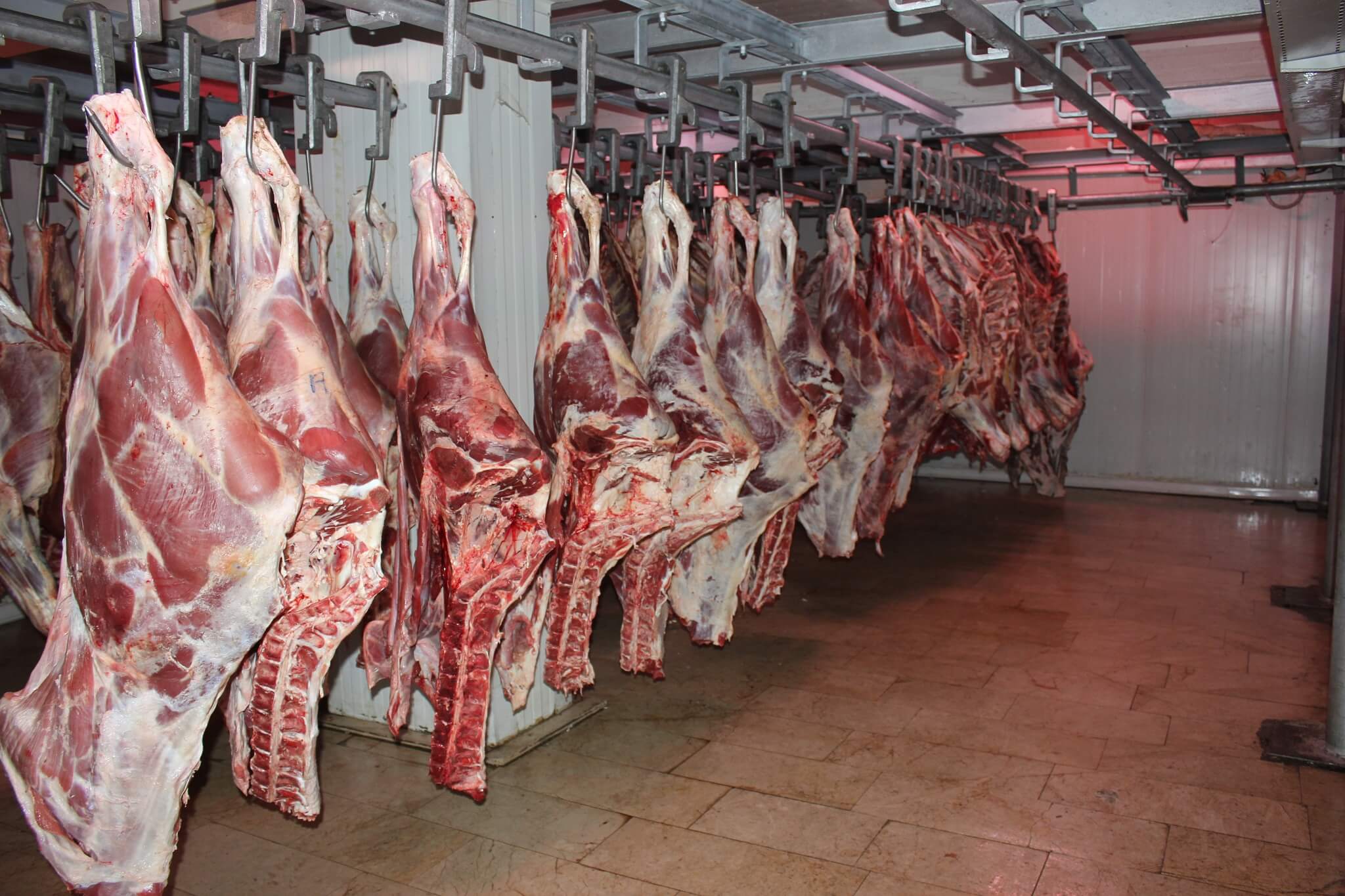 الحكومة تتعاقد مع مهنيي اللحوم الحمراء لإنتاج 850 ألف طن ورفع عدد المجازر بحلول 2030