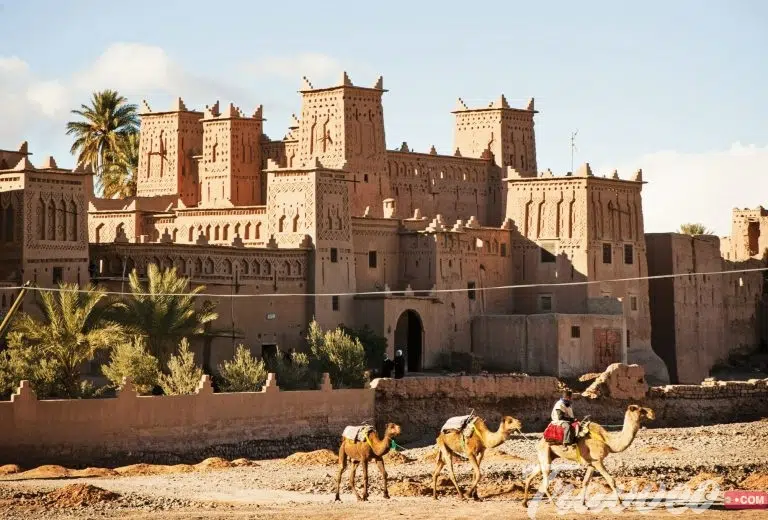 المغرب/مصر.. تقارب في عدد السياح وتفوق مصري كبير في المداخيل