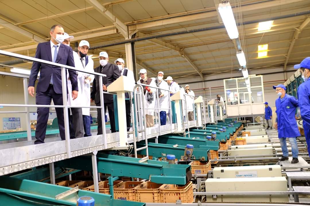 وزارة الصناعة تترقب إحداث 300 ألف منصب شغل جديد