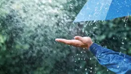 طقس الجمعة.. أمطار ورياح معتدلة بهذه المناطق