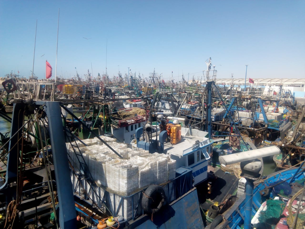 ارتفاع مفرغات الصيد الساحلي والتقليدي بميناء العيون بـ41 بالمئة