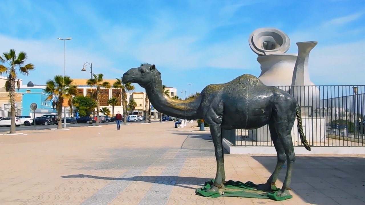 فاعلون تونسيون يستكشفون فرص الاستثمار بالداخلة
