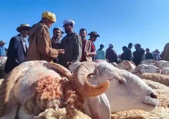 حركية دؤوبة بأسواق سيدي إفني قبيل عيد الأضحى