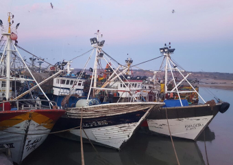 انخفاض مفرغات الصيد بـ54% بميناء المهدية