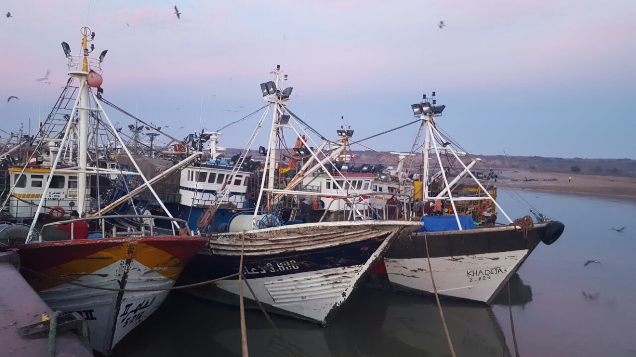 ارتفاع مفرغات الصيد البحري بميناء المهدية بـ60%