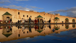 مكناس.. دعم مبادرة التنمية البشرية يفتح آفاقا أمام التعاونيات المحلية