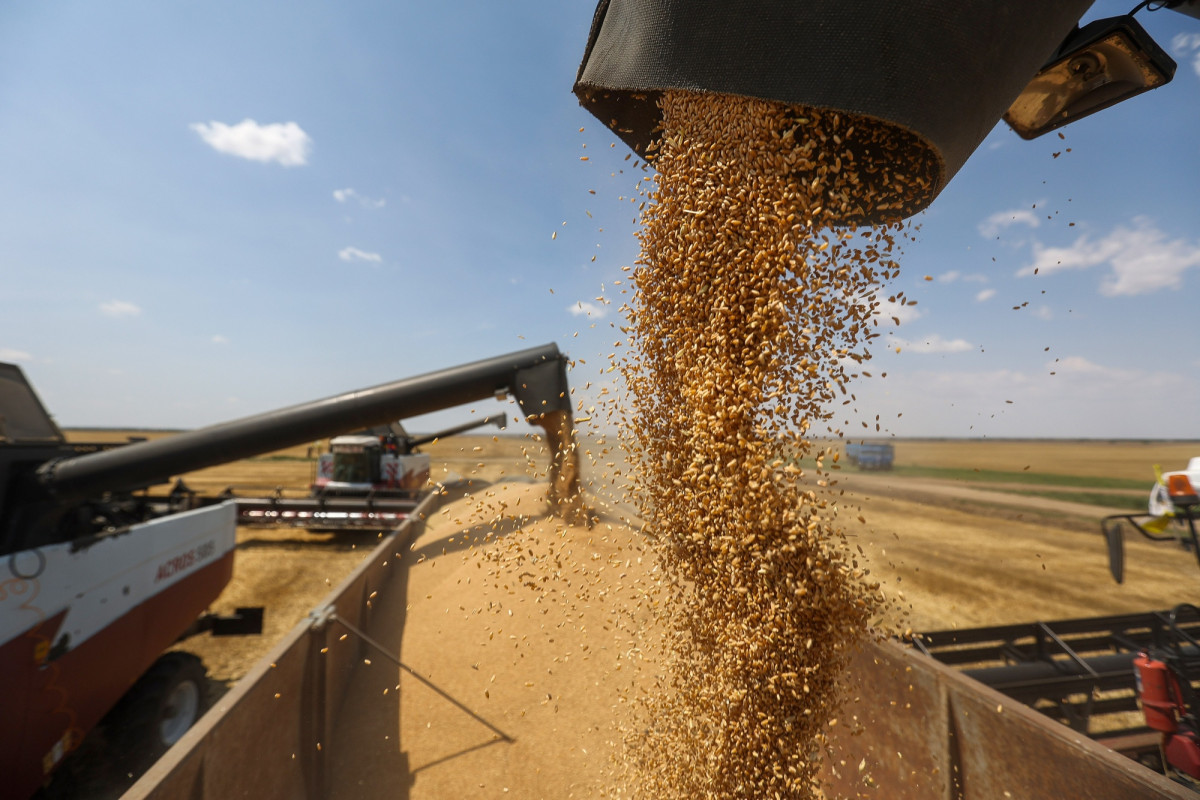 صندوق النقد يحذر من تفاقم أسعار الغذاء عالميا بفعل انسحاب روسيا من اتفاق الحبوب