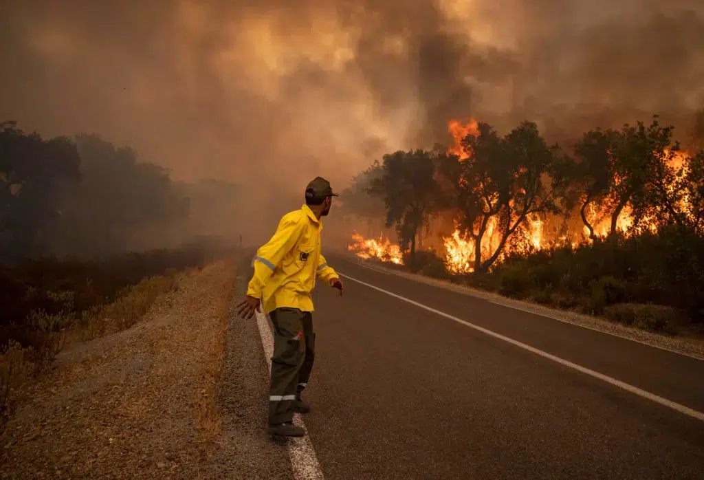 تقرير رسمي: 222 حريقا يلتهم 3900 هكتار من غابات المغرب والشمال الأكثر تضررا سنة 2023