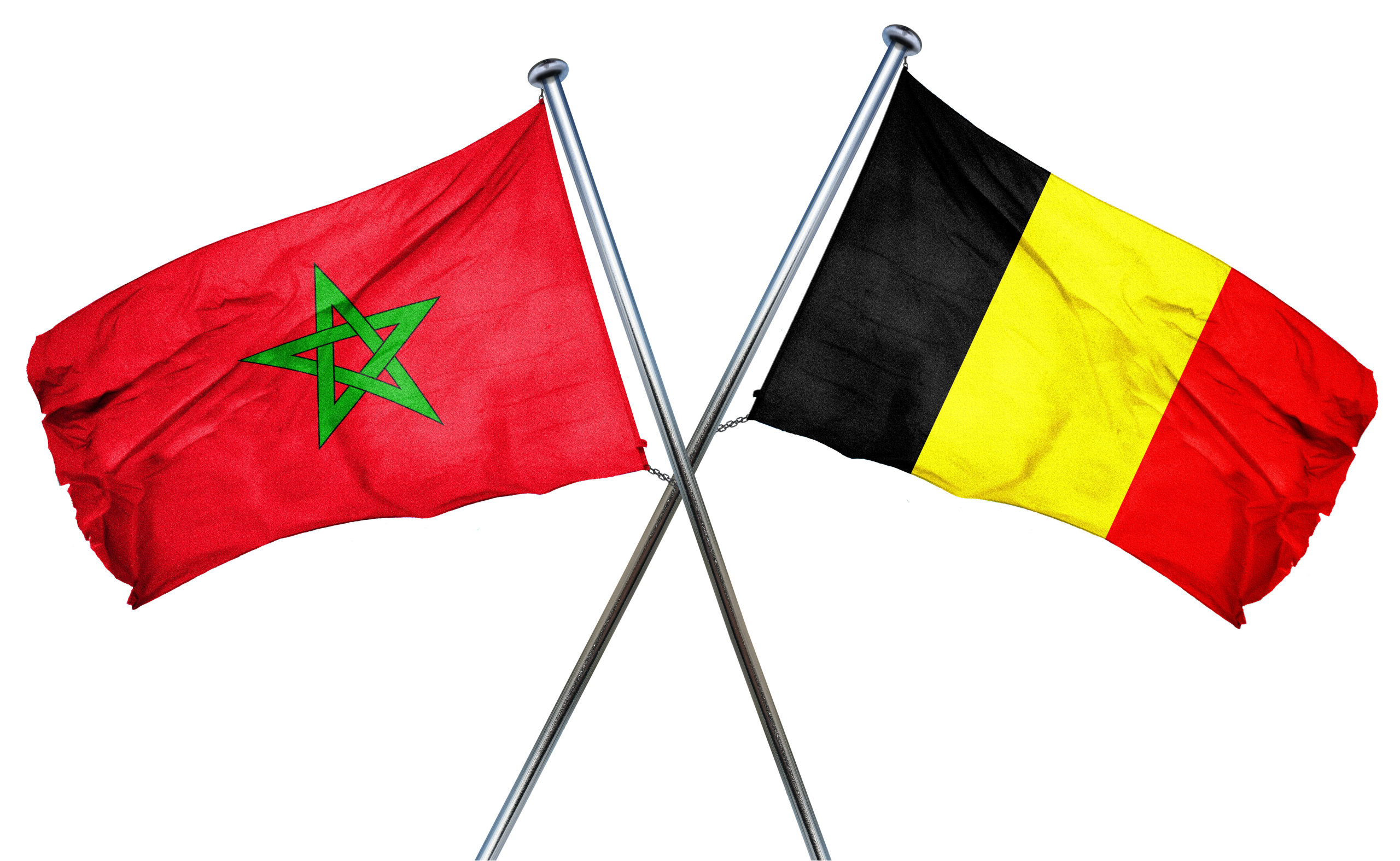 ضمن أولويتها الأمن والعدالة والهجرة.. شراكة بين المغرب وبلجيكا تتعزز في مجالات متنوعة
