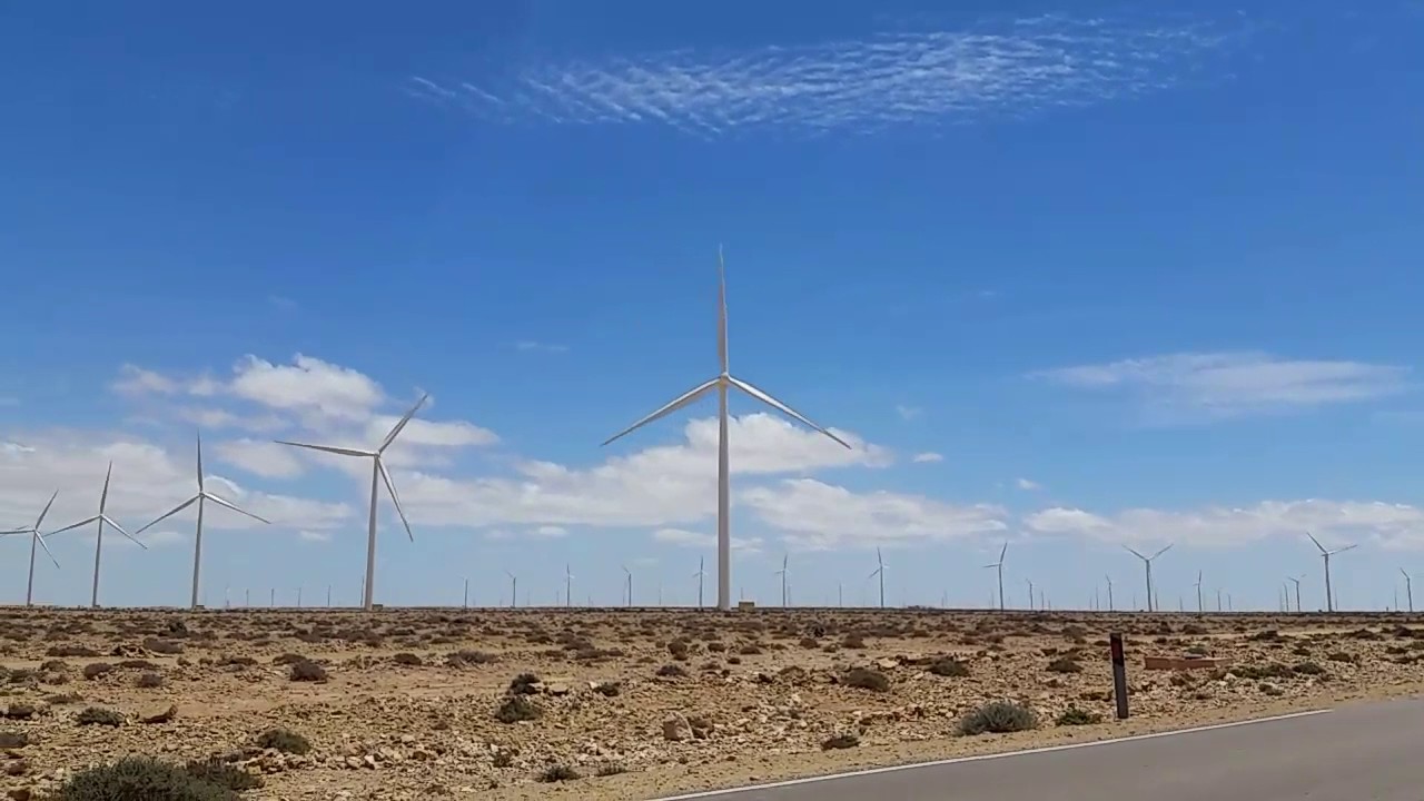 انطلاق التشغيل الكامل للرحبة الريحية ببوجدور بقدرة إنتاجية تصل إلى 300 ميغاواط
