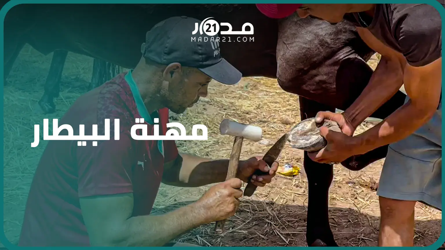 عز  الدين.. ماريشان بالجديدة يبدع في تقليم حوافر الخيول وإعداد ووضع الحدوات للأحصنة