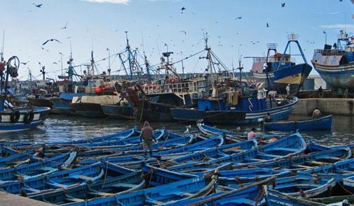 ارتفاع مفرغات الصيد البحري بـ105% بميناء المهدية