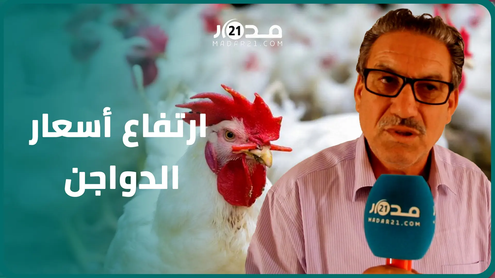 مربو الدجاج:المربي الصغير والمتوسط لم يستفيدا من أي دعم ونفوق الدجاج والركود رفعا الأسعار ل20 درهما