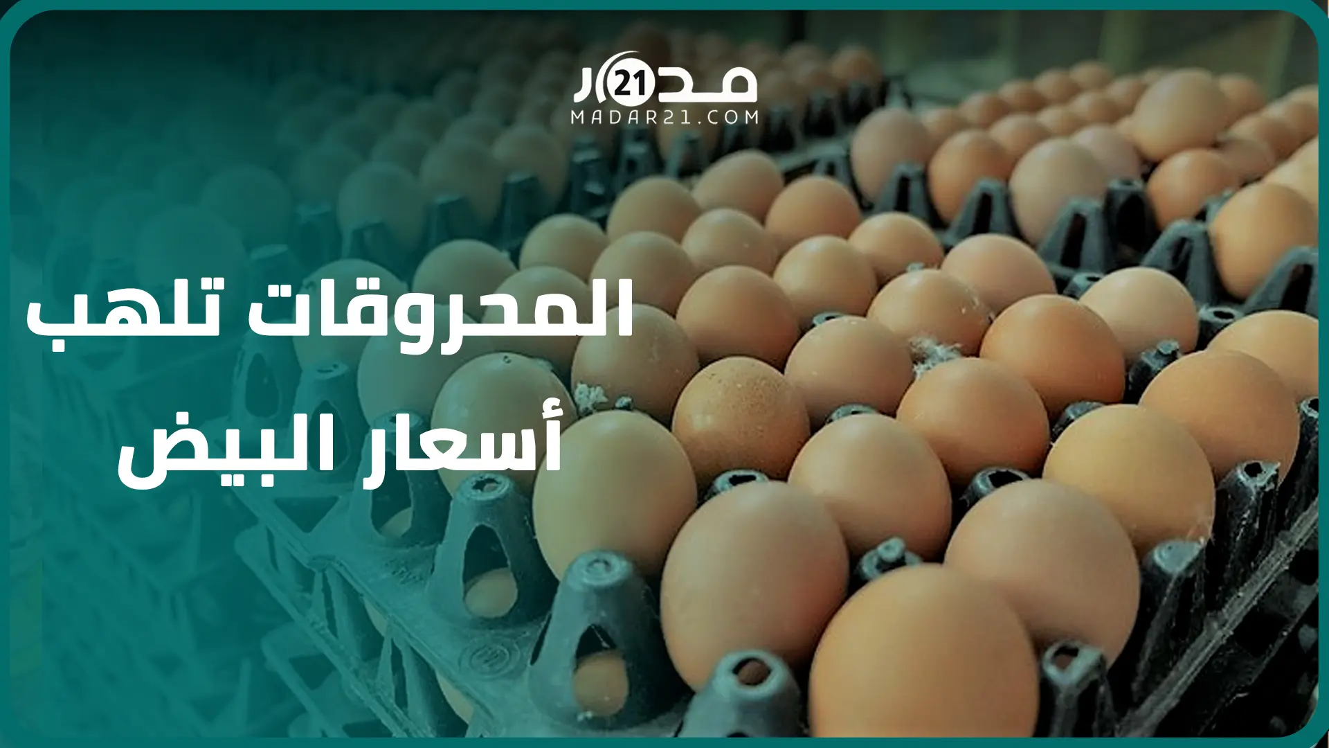 المحروقات تلهب أسعار البيض وترفع كلفة الانتاج ومهنيون يشكون العشوائية والتهميش