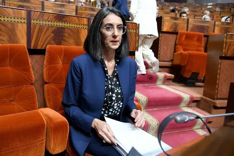 المحروقات تستدعي وزيرة المالية للبرلمان والمعارضة تطالب بإنهاء “فوضى نهْب جيوب المغاربة”