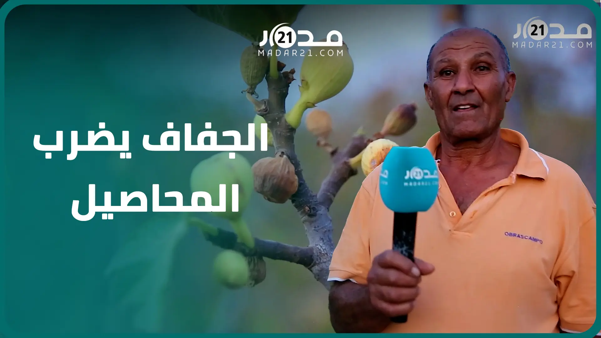 “مالقيناش باش نسقيو”.. الجفاف والحرارة يضربان محاصيل التين ببني ملال وفلاح يكشف معاناته