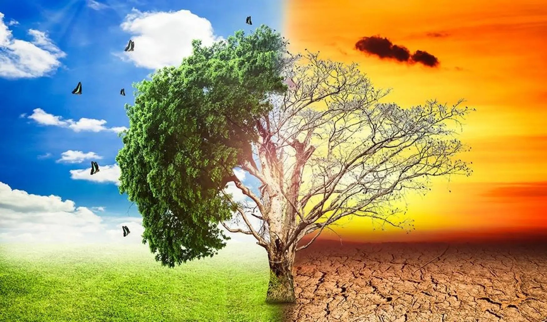 قمة المناخ الأفريقية الأولى تسلط الضوء على القارة وسط افتقار البيانات