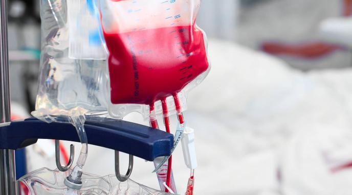 تزنيت.. حملة واسعة للتبرع بالدم لضحايا زلزال الحوز