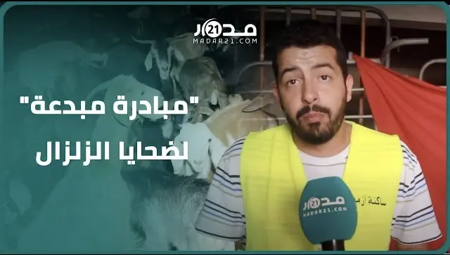“مبادرة مبدعة”..ساكنة أزمور تتبرع ب100 رأس من الماعز لتخفيف محنة منكوبي الزلزال