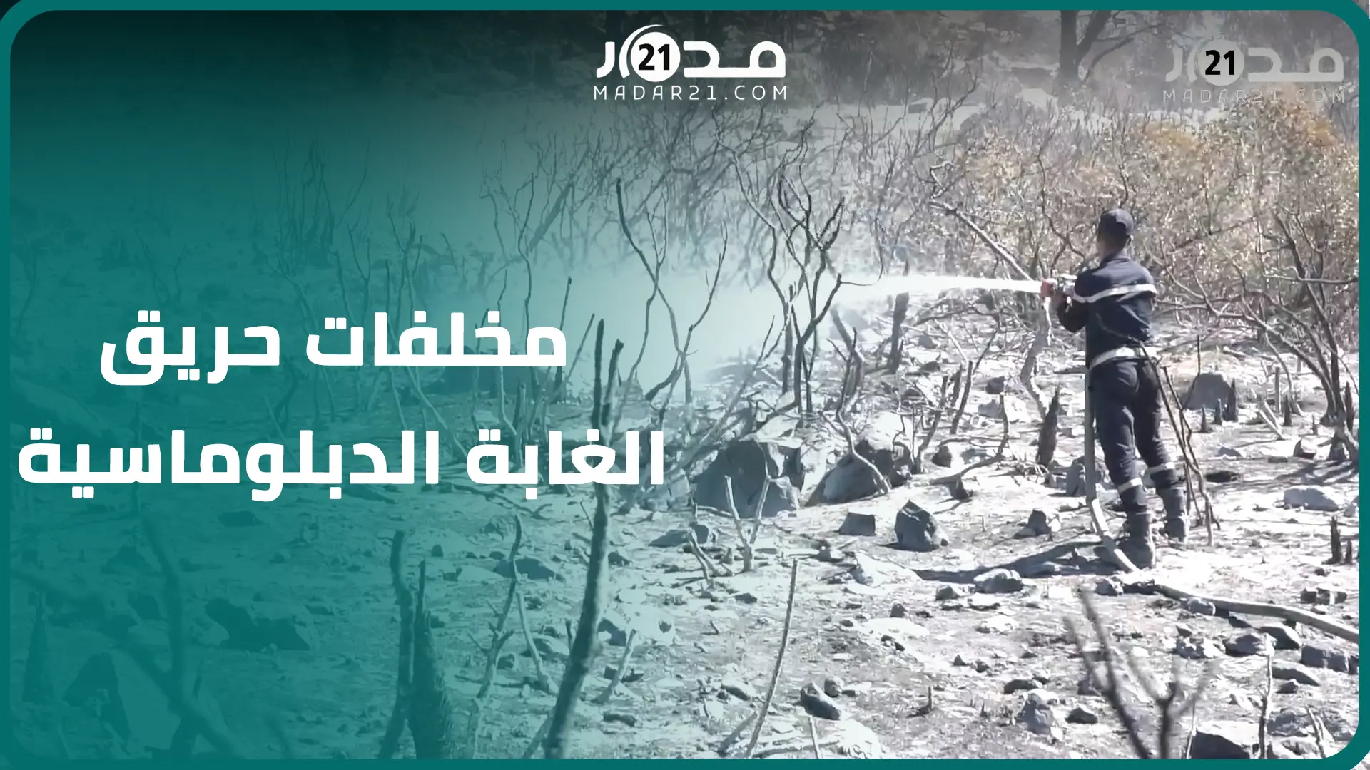 أشجار تحولت لرماد.. مشاهد “قاسية” توثق مخلفات حر.يق الغابة الدبلوماسية بطنجة