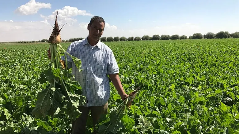 الزراعة المغربية تغري البلدان العربية